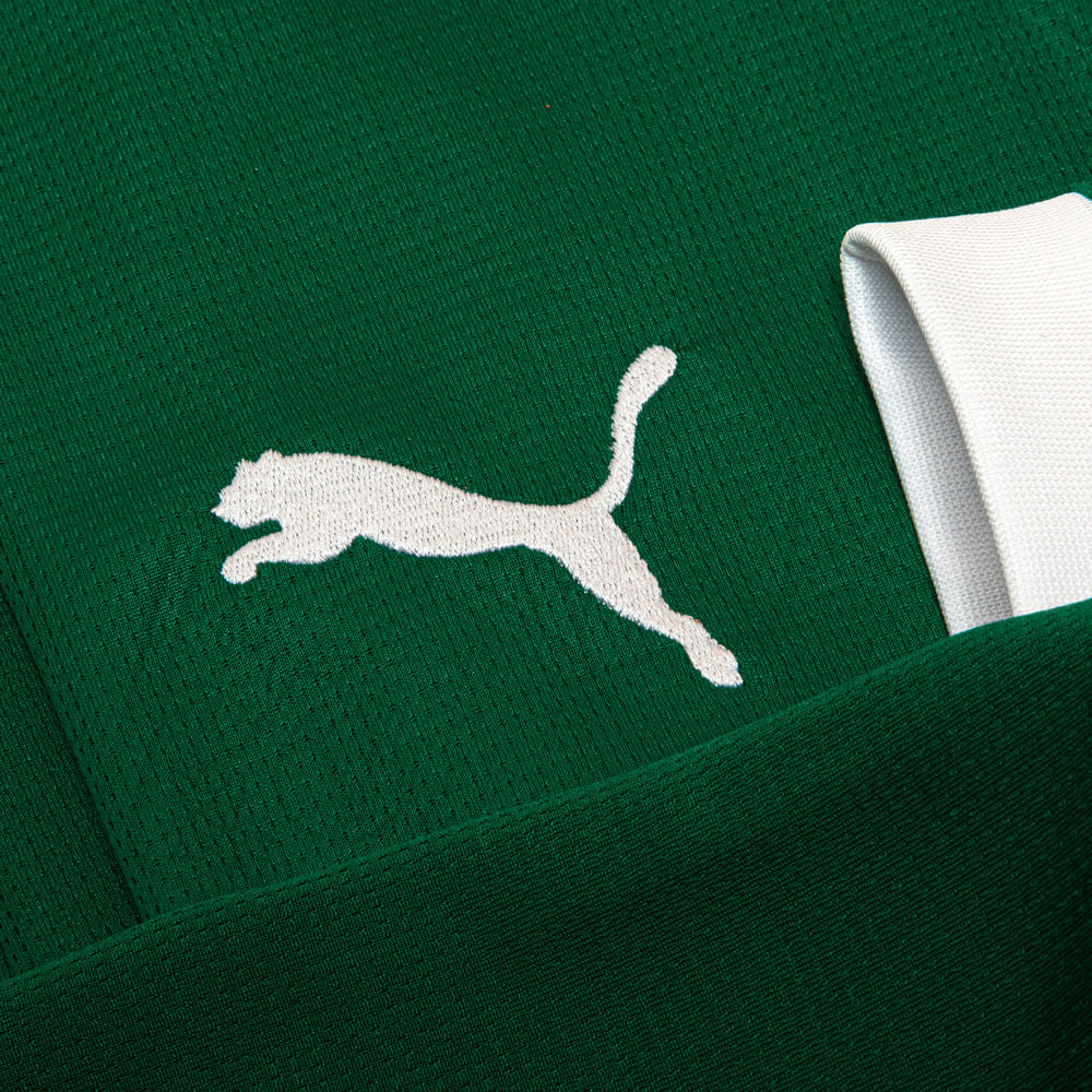 Camisa Palmeiras Puma I 25/26 Torcedor - Manga Longa