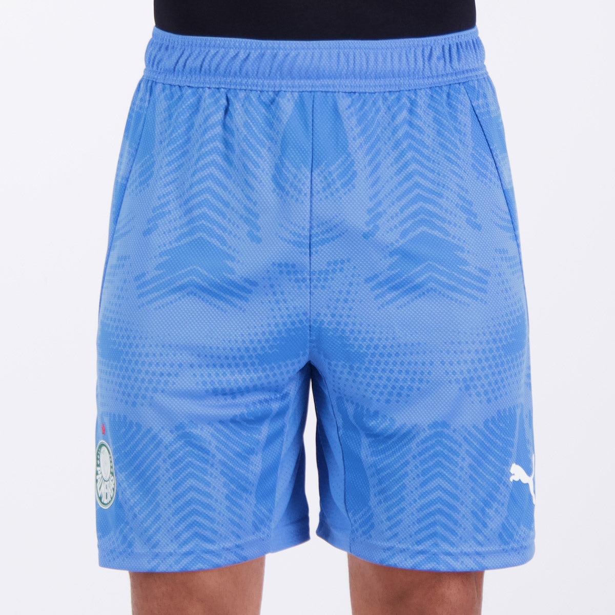 Calção Puma Palmeiras Goleiro I 2025