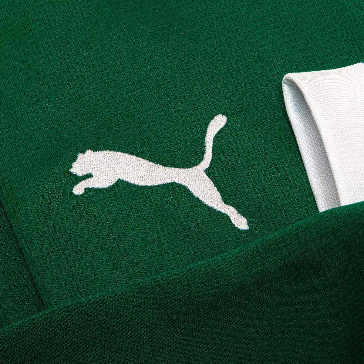 Camisa Puma Palmeiras I 2025 Manga Longa