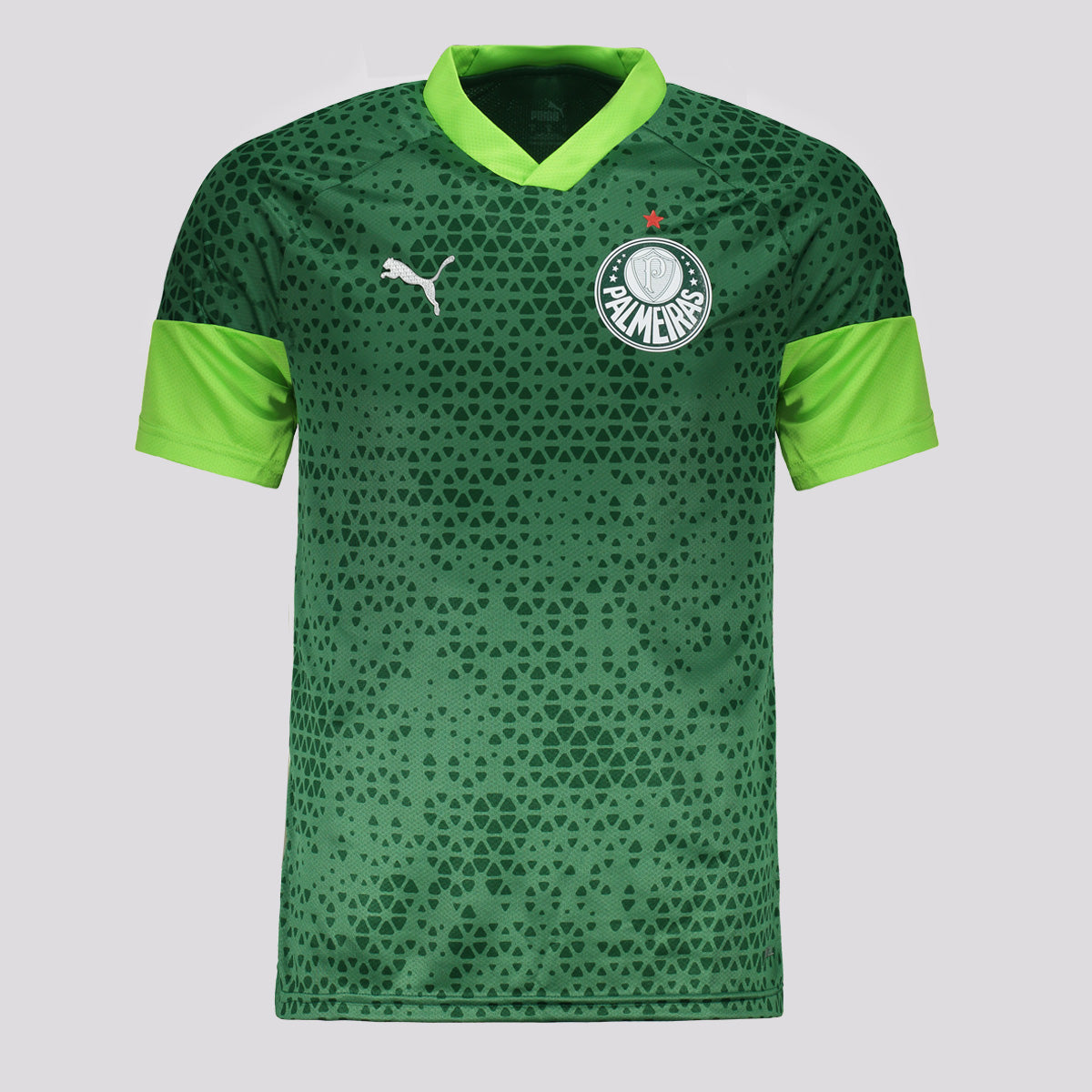 Camisa Puma Palmeiras Treino 2024