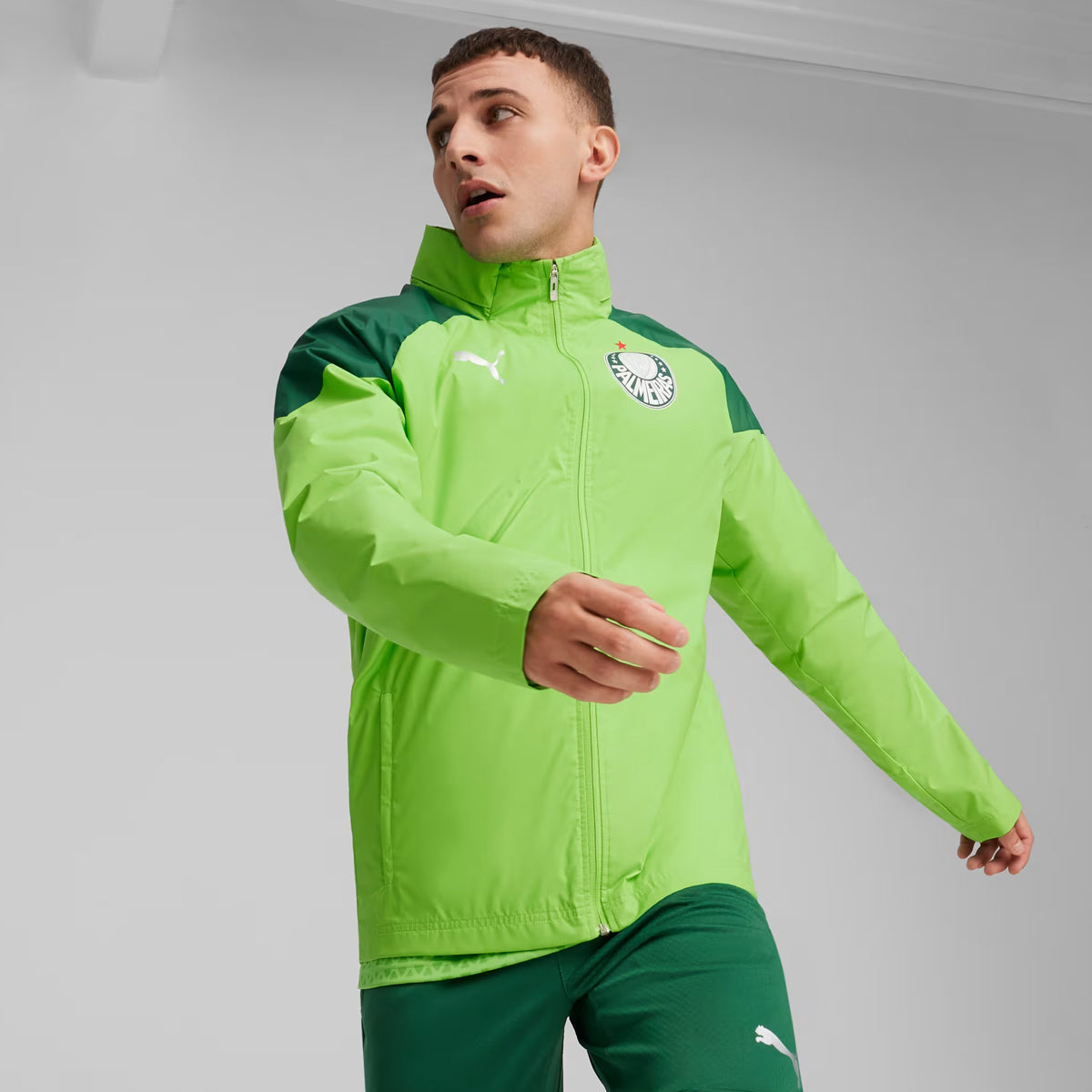 Jaqueta Puma Palmeiras Treino Escudo Verde