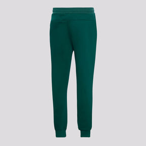Calça Palmeiras Moletom Basic Juvenil Verde