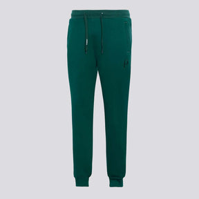 Calça Palmeiras Moletom Basic Verde