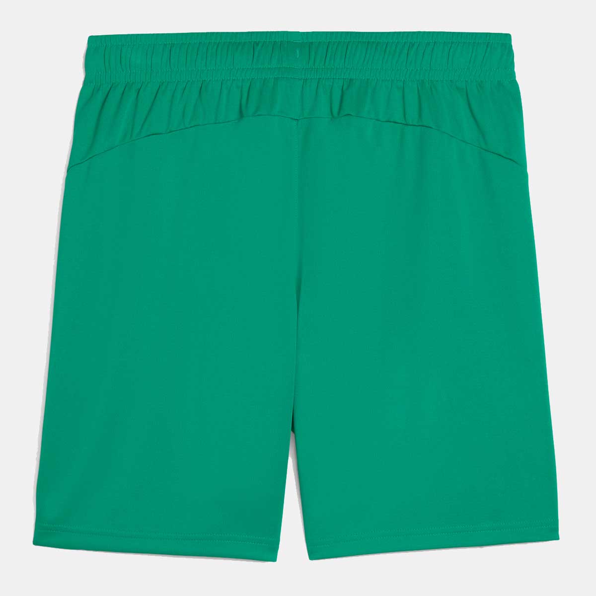 Calção Puma Palmeiras Treino 2025