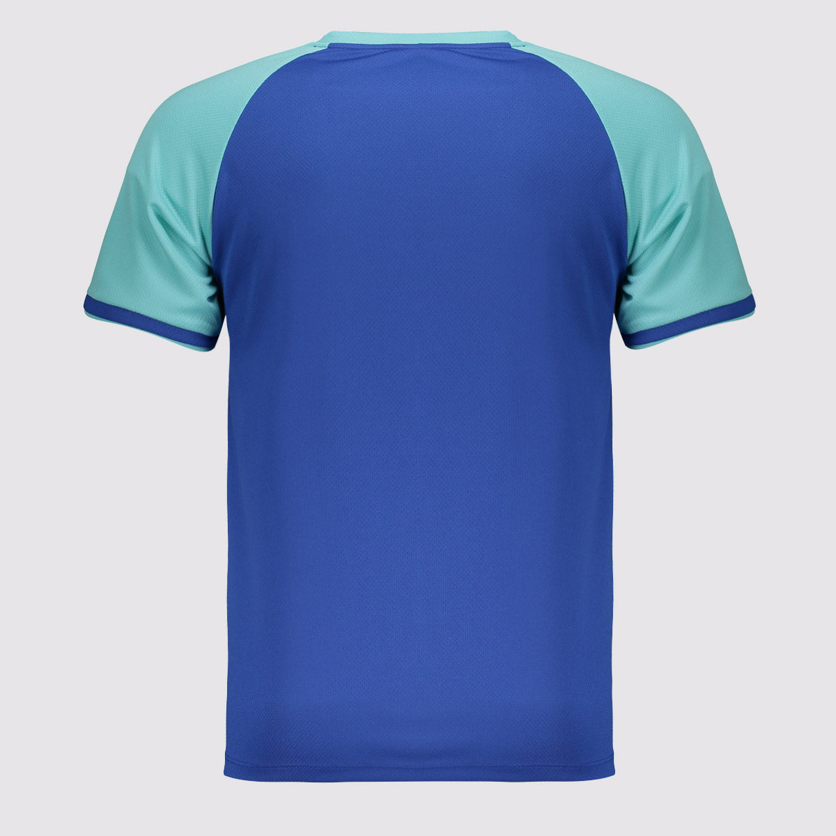 Camisa Palmeiras Goalkeeper II Verde
