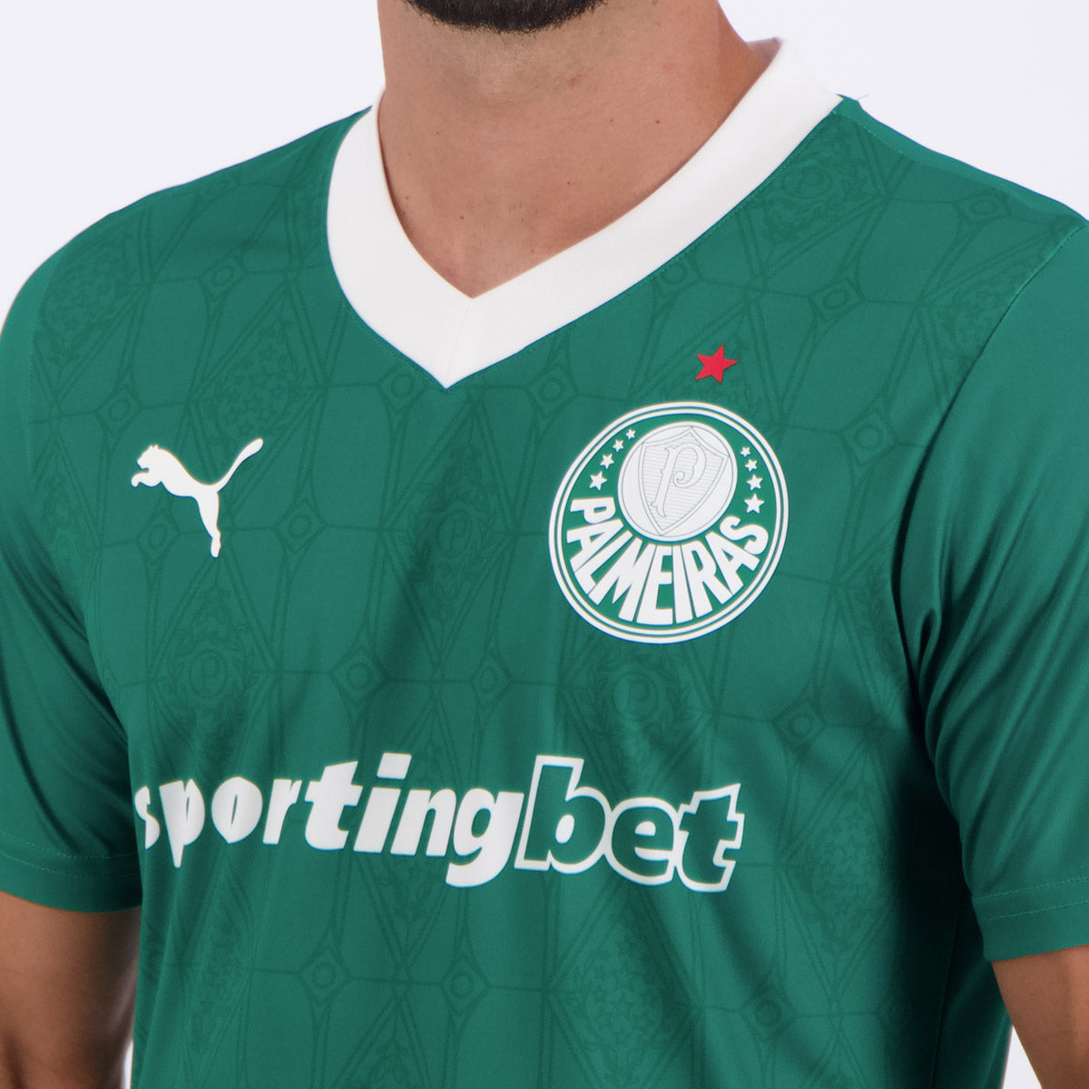 Camisa Puma Palmeiras I 2025 Estádio