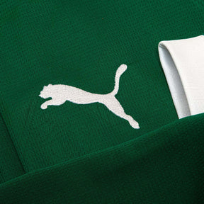 Camisa Puma Palmeiras I 2025 Manga Longa