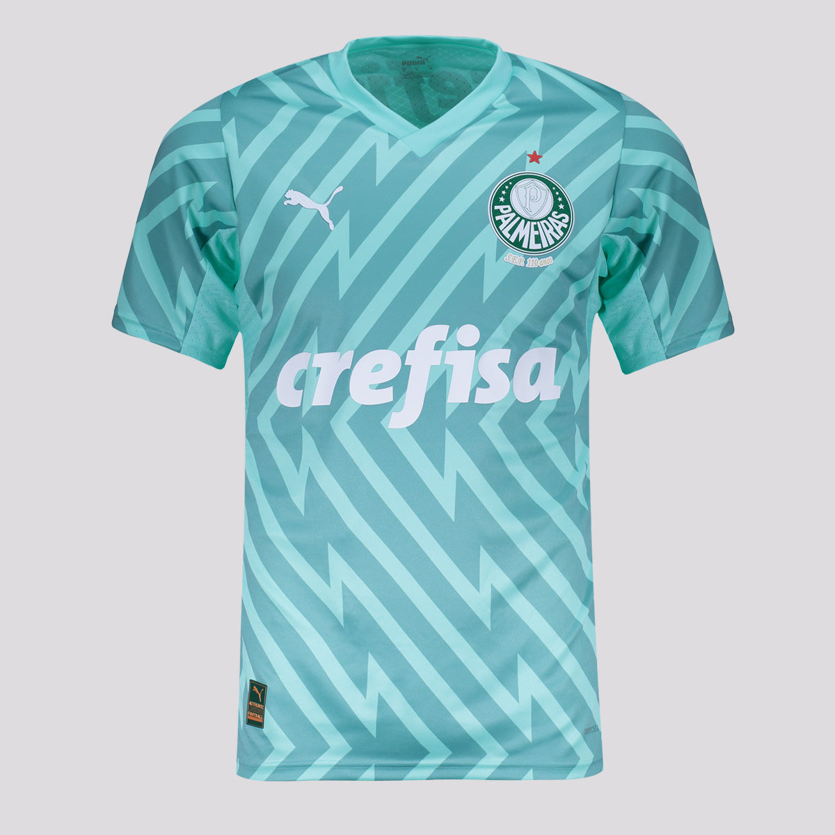 Camisa Puma Palmeiras II Goleiro 2024 Jogador
