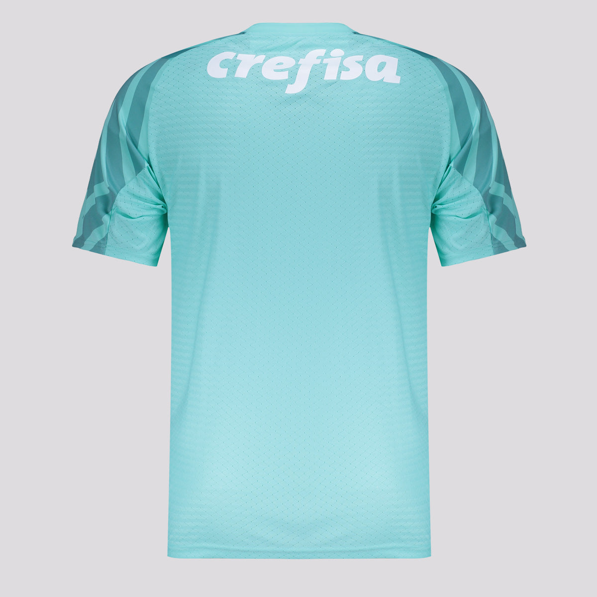 Camisa Puma Palmeiras II Goleiro 2024 Jogador