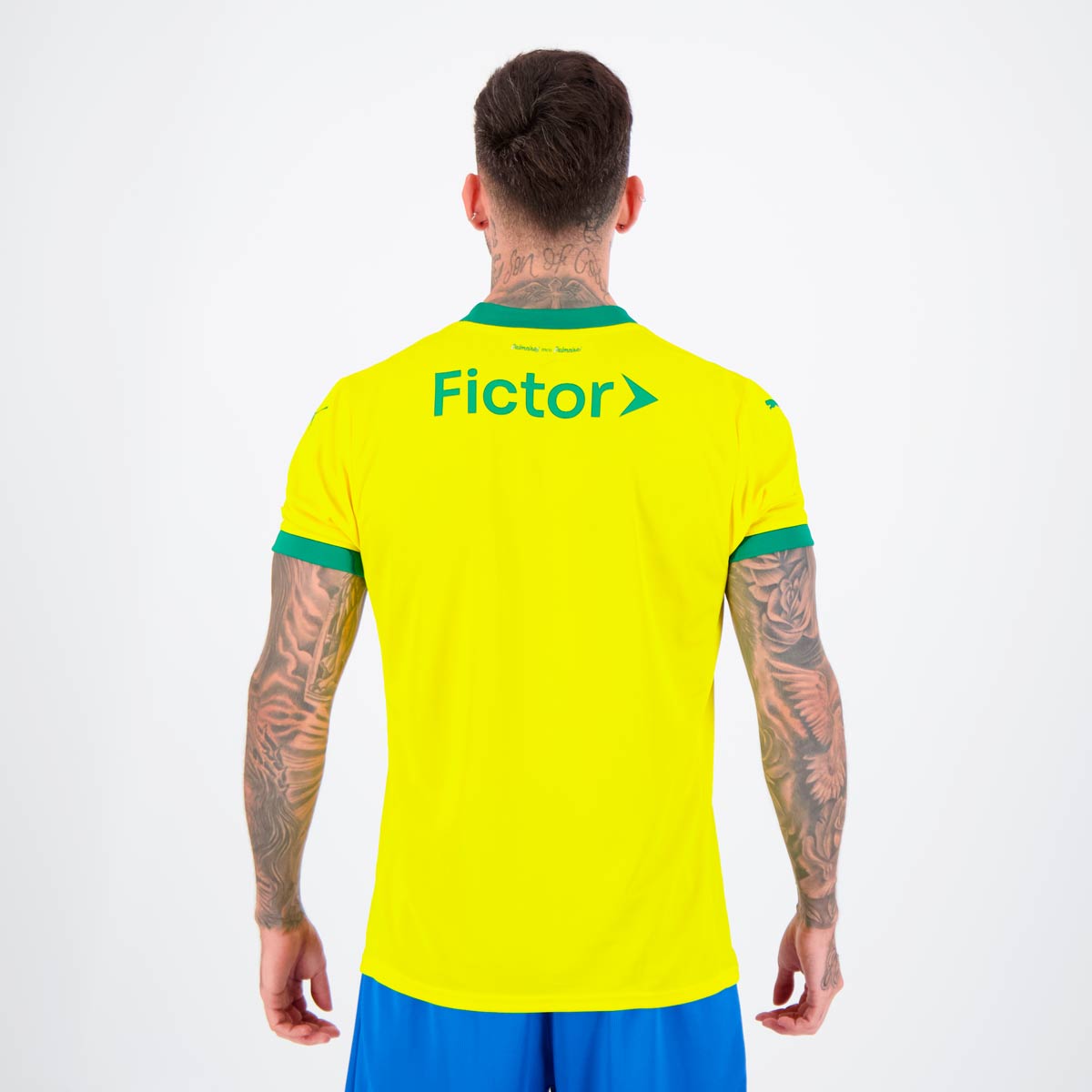 Camisa Puma Palmeiras III 2025