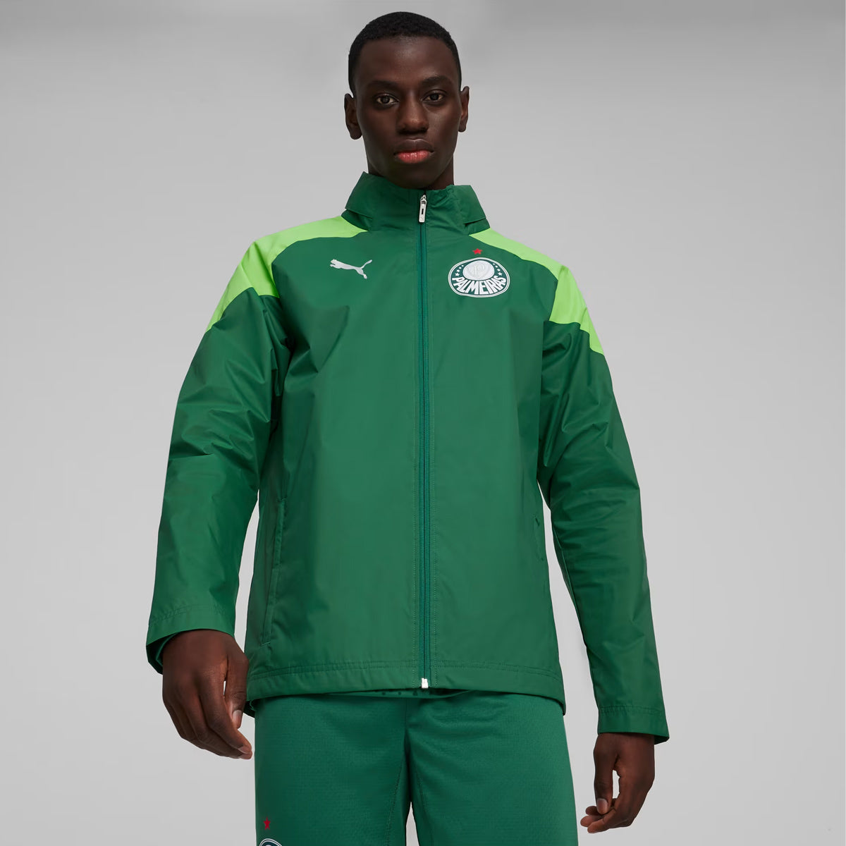 Jaqueta Puma Palmeiras Treino Escudo Verde Escuro